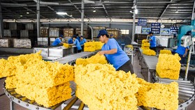 Thị trường đang kỳ vọng những ông lớn như Tập đoàn Công nghiệp cao su Việt Nam lên sàn.
