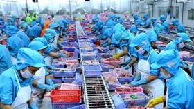 ICAEW: Tăng trưởng kinh tế Việt Nam dự kiến đạt 6,6% trong năm 2020