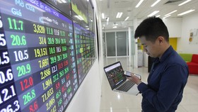 Vốn hóa sàn chứng khoán TPHCM tăng hơn 15% trong 11 tháng