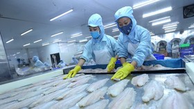 Bộ Nông nghiệp Hoa Kỳ mới đây đã chính thức công nhận tương đương hệ thống kiểm soát an toàn thực phẩm (ATTP) cá da trơn của Việt Nam xuất khẩu sang Hoa Kỳ.