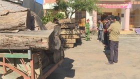 Xác định 7 đối tượng phá rừng đặc dụng Nam Ka với quy mô lớn