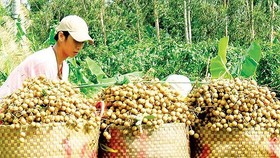 Quan trọng nhất là chất lượng sản phẩm