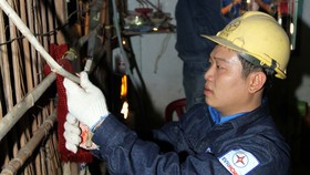 Cải tạo 70 tuyến hẻm để đảm bảo hệ thống điện an toàn, mỹ quan
