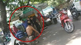 Cò vé hoạt động nhộn nhịp