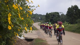 Độc đáo đường hoa dã quỳ nơi miền tây Quảng Trị