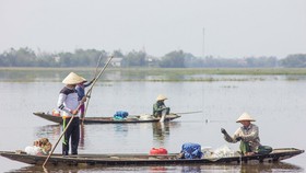 Mưu sinh vùng càng mùa nước nổi