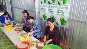 Nhiều mô hình thiết thực giúp phụ nữ khởi nghiệp ở Hậu Giang