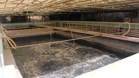 Xử lý môi trường bằng chế phẩm men vi sinh KBM