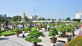 Lễ hội Bonsai và Suiseki châu Á – Thái Bình Dương lần đầu tiên được tổ chức tại Việt Nam