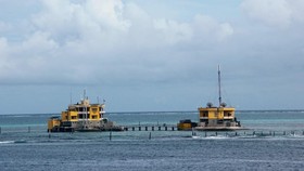 Nhiều hoạt động ý nghĩa hướng về biển đảo quê hương