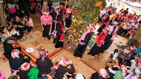 Then là di sản văn hóa phi vật thể thứ 13 của Việt Nam được UNESCO vinh danh