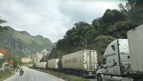 Container trucks carrying farm produce line up to wait for customs clearance. (Photo: SGGP)
