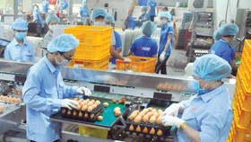 HCMC focuses on preparing goods for Tet holidays