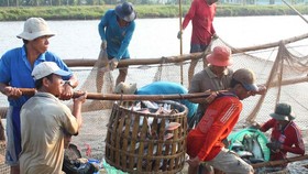 Aquatic exports expected to decline by 1.2 percent
