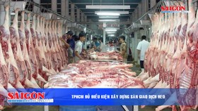 Điểm tin SGGP Online ngày 15-11-2019