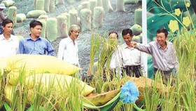 Phát triển bền vững nông nghiệp - nông dân - nông thôn Việt Nam