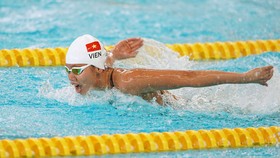 Kình ngư Nguyễn Thị Ánh Viên vẫn đang chờ cơ hội tranh vé dự Olympic Tokyo 2020.