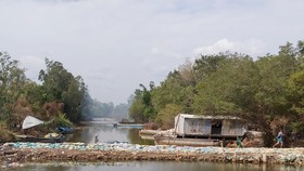 Cà Mau: Nhiều cống ngăn mặn bị rò rỉ
