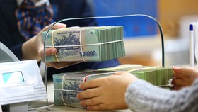 Chính phủ gia hạn thời hạn nộp thuế và tiền thuê đất