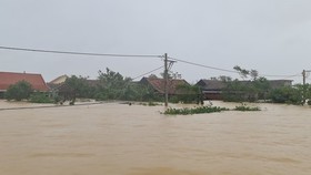 Doanh nhân kiều bào ủng hộ đồng bào miền Trung 40 căn nhà tình thương