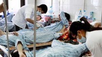 Binh Dinh Province scales up response to surge in dengue