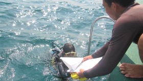 A diver from the Cham Island Maritime Protected Area completes a check on coral reefs in waters off the islands. — VNS Photo