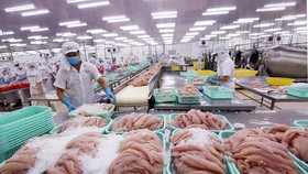 Processing seafood for exports (Photo: VNA)