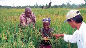 The happiness of African farmers from a Vietnam's rice supporting project (Source: Vietnam Agriculture)