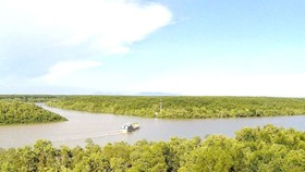 The famous Can Gio Mangrove Biosphere Reserve Area. (Photo: VNA)