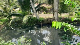 Wastewater from the industrial park has polluted canals around the industrial parks. (Photo: SGGP)