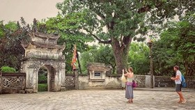 Foreign tourists in Vietnam (Photo: VNA)