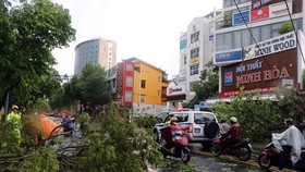 Typhoon Noul, the fifth to enter the East Sea this year, made landfall in Thua Thien-Hue province on the morning of September 18, causing heavy downpours, strong winds, and lightning. (Photo: VNA)