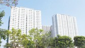 Short-term rental breaches law: new regulations