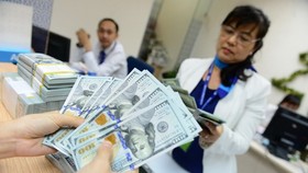 Dollar supply source is forecast to decline in the domestic market this year, given by weaker foreign direct investment (FDI) inflows and exports.