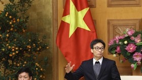 Deputy Prime Minister Vu Duc Dam (standing) at the meeting on February 14 (Photo: VNA)