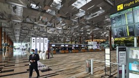 Embassy supports Vietnamese stranded in Singapore due to COVID-19