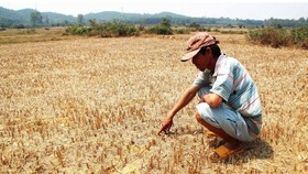 Severe drought, saline intrusion and lack of fresh water are prolonging in Mekong Delta provinces and cities