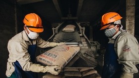 Cement bags stocked at a facility in Hai Duong province.( Photo tcgvn.com)