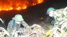 Firefighters make efforts in forest fire prevention
