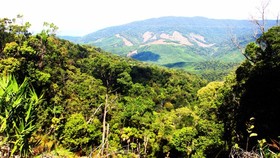 Sustainable Forest Restoration and Management Project in the Central and the Northern regions of Vietnam” (KfW9 Phase 1) worth more than VND105 billion (more than EUR4.2 million)