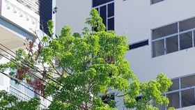 Rental home of nine Chinese illegal entry into Nha Trang City