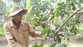 Ben Tre gets through natural disasters situation due to saltwater intrusion
