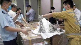 One man charged in biggest ever rhino horn smuggling case (Photo: VNA)