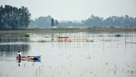Mekong Delta to see peak of flood season in late September