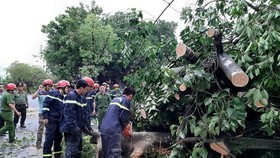 Downpour, storm-force wind rush down Central provinces