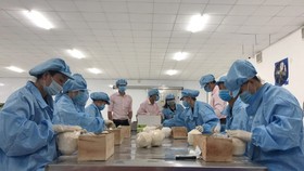 Fresh coconuts will be exported from Vietnam to EU market via seaway.