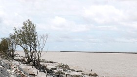 Mekong Delta declares emergency situation of sea dyke landslide