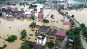 Flooding in Thua Thien - Hue province (Photo: VNA)