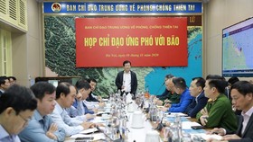 Deputy Prime Minister Trinh Dinh Dung speaks at the meeting. (Photo: Pham Ngoc Ha)