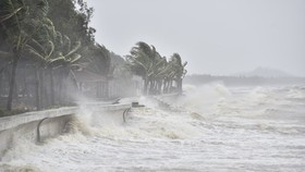 One or two more storms to hit East Sea in last month of 2020